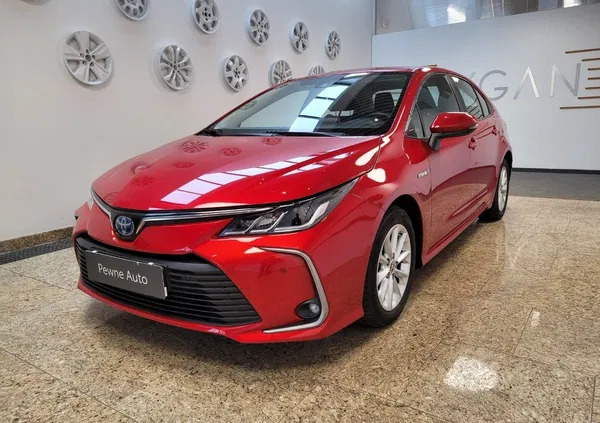 toyota corolla Toyota Corolla cena 82900 przebieg: 43937, rok produkcji 2019 z Pełczyce